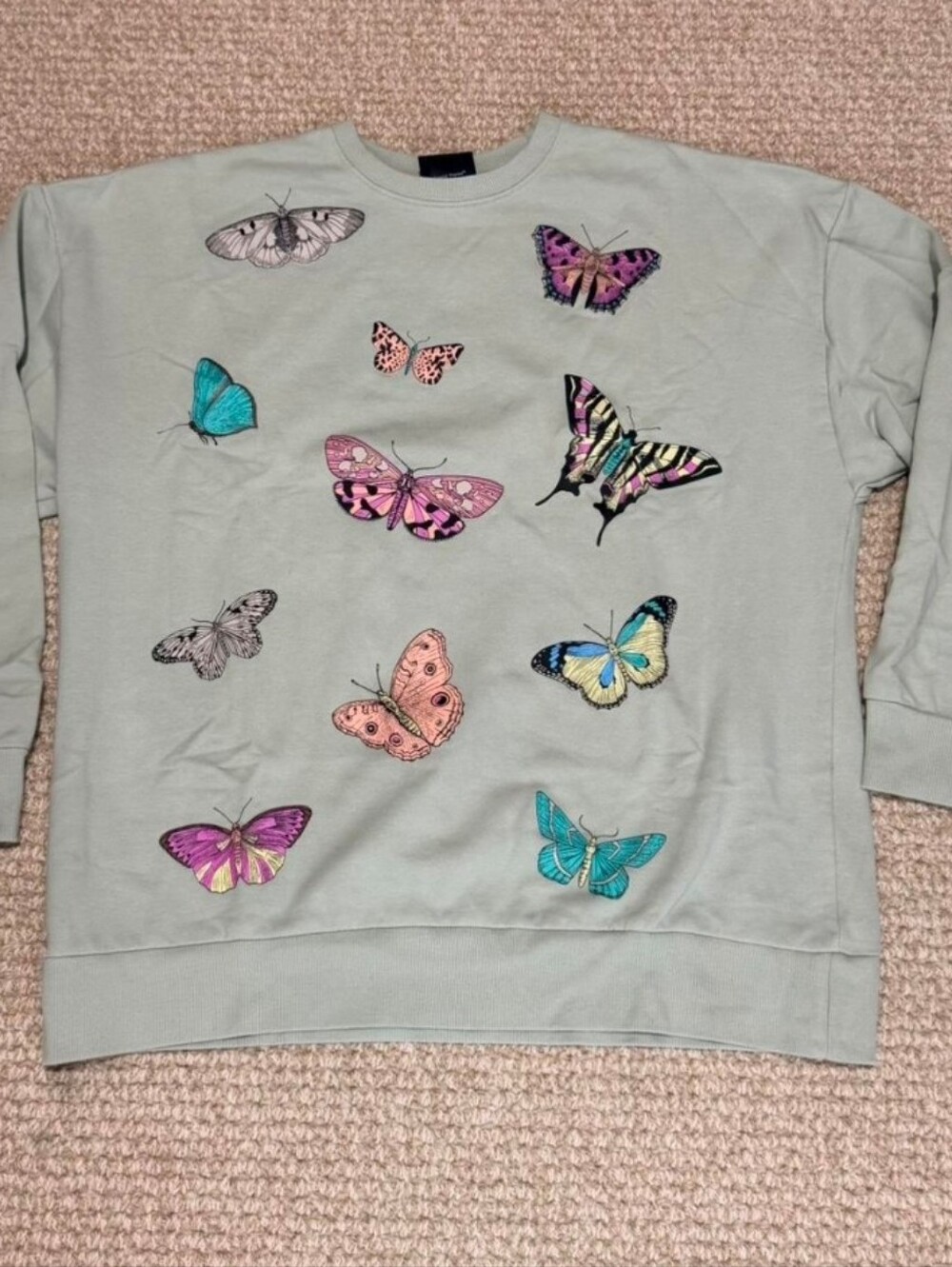 Special Thanks Sage Green Colorful Butterflies Moths Graphic Granola Sweatshirt